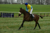 Race 5 - Restricted 12
