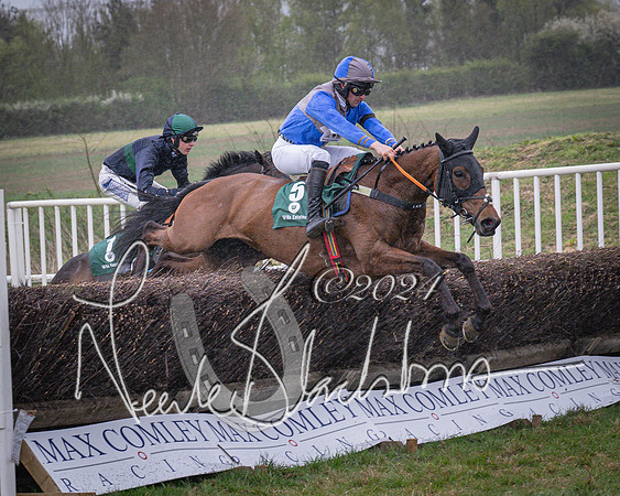 Race 7 - The Jockey Club maiden race for Mares and Fillies only (50 of 96)