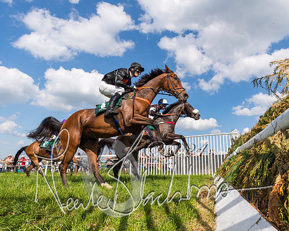Race 4 - PPORA Novice Riders Final  (171 of 362)