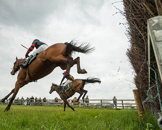 Race 2 - Jockey Club ROR veteran Horse (56 of 104)