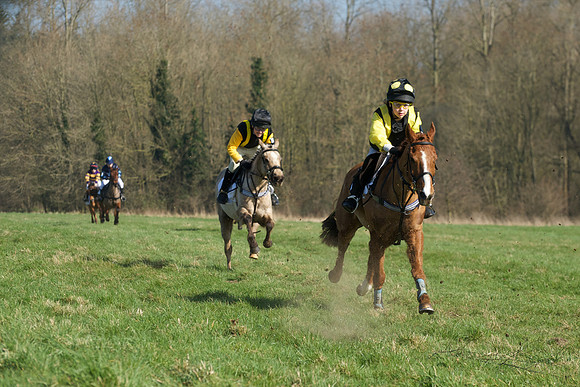 Pony Races -  27