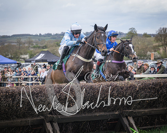 Race 2 - Tattersalls Cheltenham 4 year old Maiden (19 of 85)
