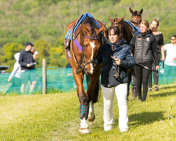 Race 6 - Open Maiden (23 of 227)