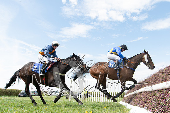 Race 2 - The Elliott of London maiden race (123 of 137)