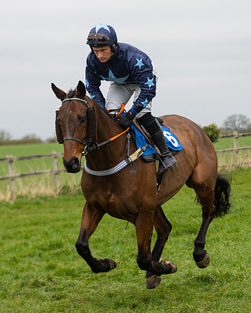 Race 2 - Veteran Horse (14 of 153)