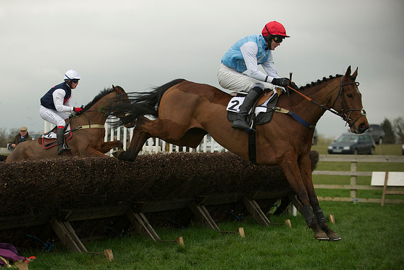 Race 5 - 41