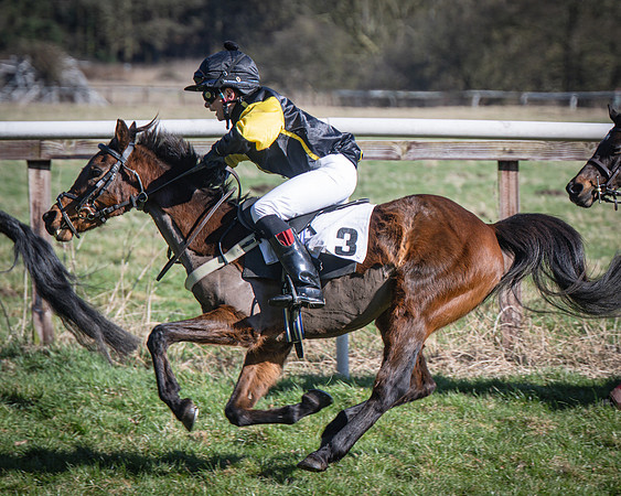 Pony Races (45 of 112)