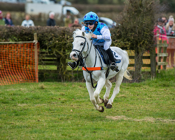Pony Race 1 (90 of 101)