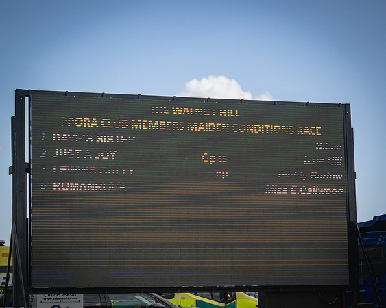 Race 7 - Walnut Hill PPORA club members maiden (1 of 104)