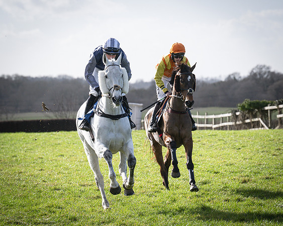 Race 5 - Home counties Grand National (31 of 194)
