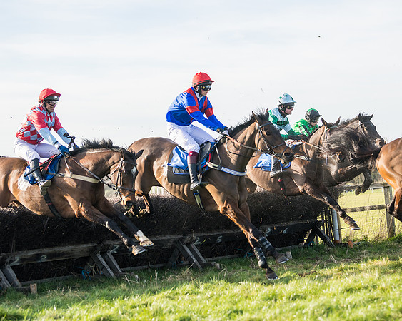 Race 5 - Restricted (57 of 146)