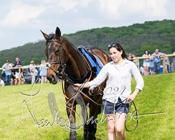 Race 3 - Ladies Open  (19 of 133)