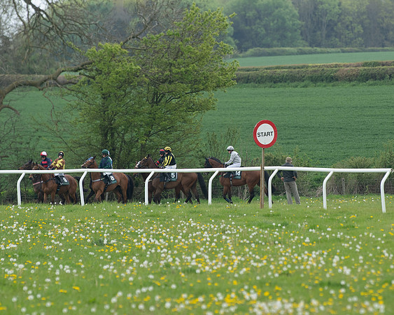 Race 2 - Jockey Club ROR veteran Horse (24 of 104)