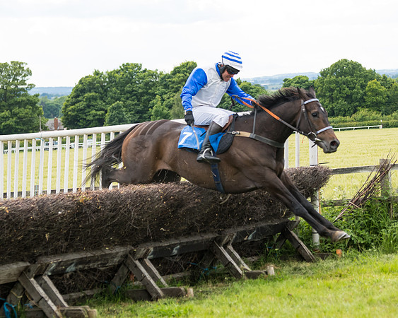 Race 5 - Restricted  (90 of 136)