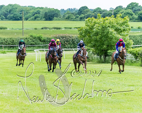 Race 3 - Conditions (205 of 367)