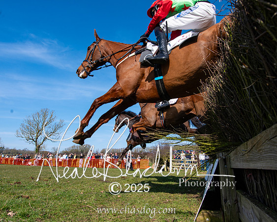 Race 1 - Maiden (114 of 188)