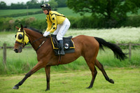Race Five 6