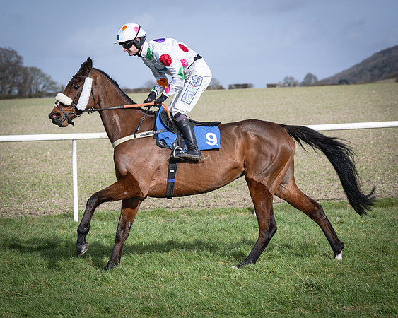 Race 3 - The Maiden Conditions (38 of 214)