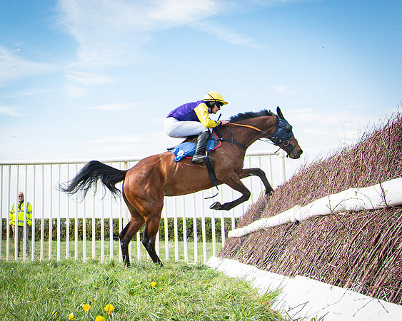 Race 3 - The Richardsons chartered Accountants Conditions Race [Level Three] for Novice Riders (96 of 117)