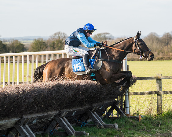 Race 5 - Restricted (69 of 146)