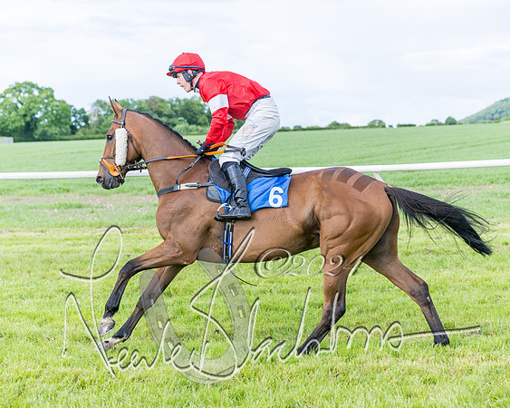 Race 5 - Restricted Race (87 of 434)