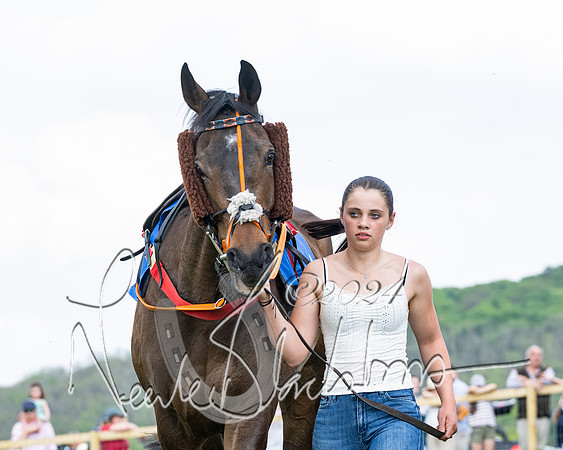 Race 2 - Restricted  (90 of 308)