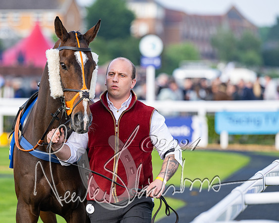 Race 4 - Stratford Foxhunters (14 of 145)