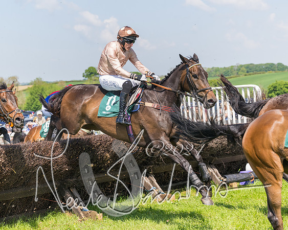 Race 2 - The Maiden  (255 of 442)