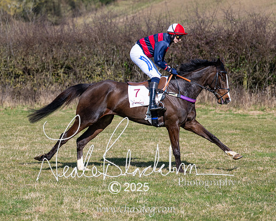Race 1 - Maiden (65 of 188)