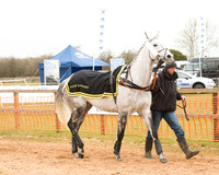 Race 6 - Open Maiden (11 of 120).jpg