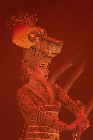 Lion King (164 of 484).jpg