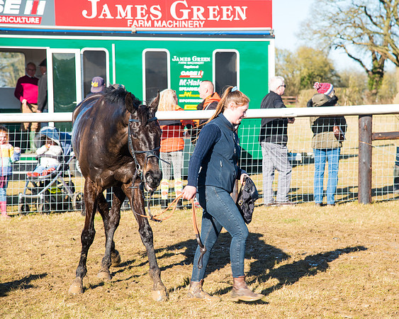Race 5 - Novice riders (177 of 201)