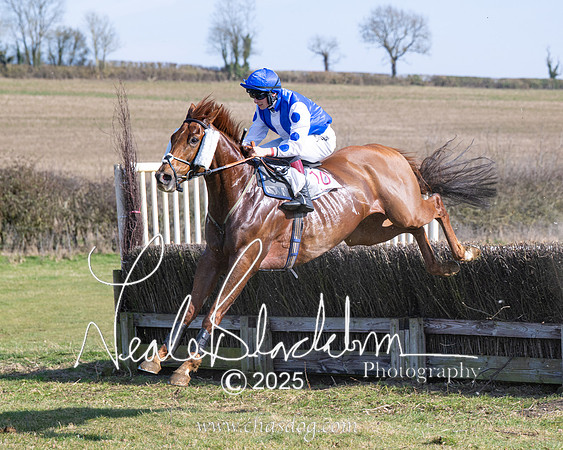 Race 1 - Maiden (109 of 188)