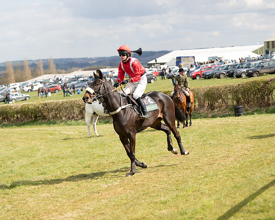 Race 2 - Young Horse Maiden (21 of 104)
