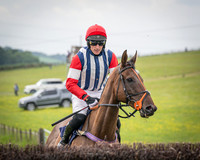 Race 6 - 2M4F Maiden (3 of 85)