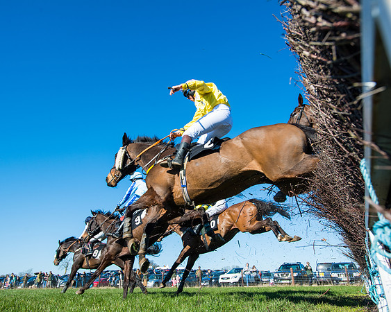 Race 4 - Ladies Open  (86 of 200)