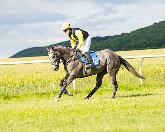 Race 6 - Open Maiden (80 of 227)