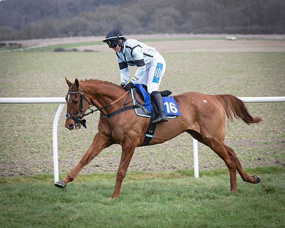 Race 2 - PPORA Conditions (68 of 263)