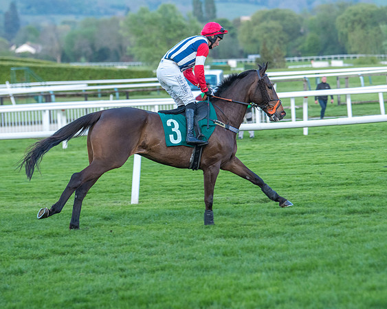 Race 7 - Glos Hussars  (95 of 245)