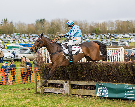 Race 2 - Open Maiden (95 of 128)