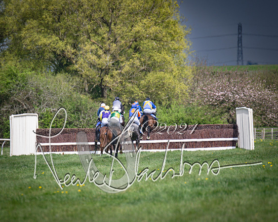 Race 2 - The Elliott of London maiden race (59 of 137)