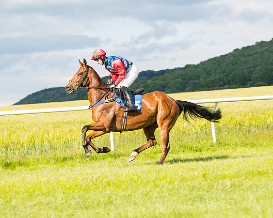 Race 6 - Open Maiden (68 of 227)