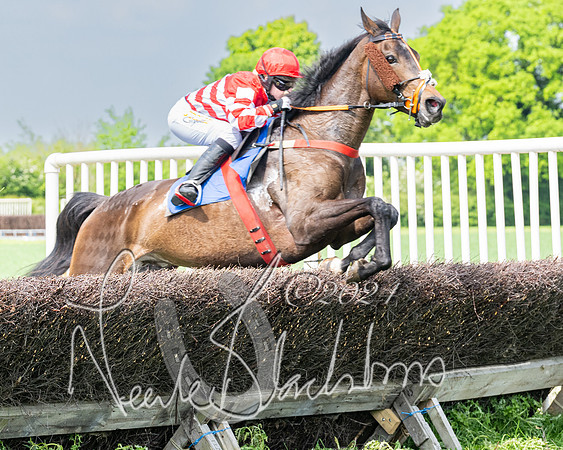 Race 2 - Restricted  (217 of 308)