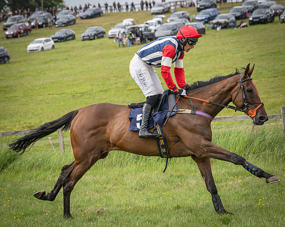 Race 6 - 2M4F Maiden (28 of 85)