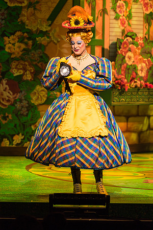 Swan Panto 2017