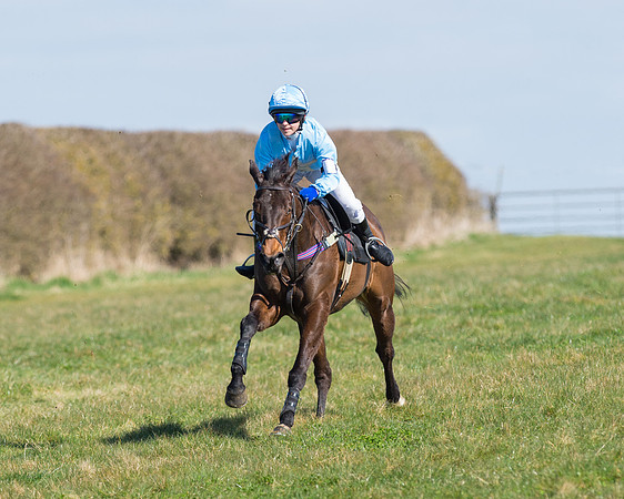 Oakley Ponies (80 of 96).jpg