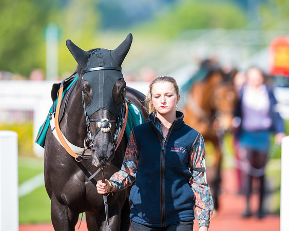 Race 1 - The open Hunter chase  (24 of 95)