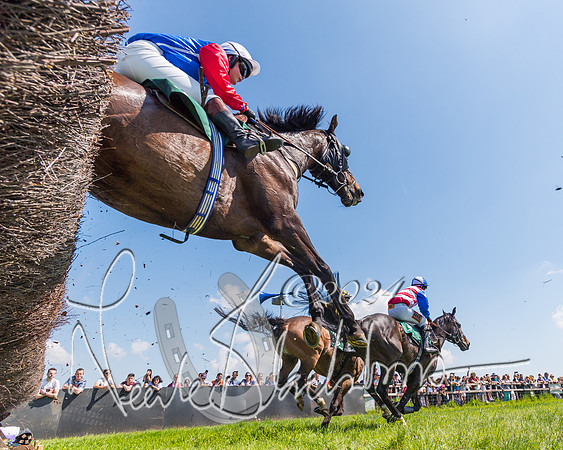 Race 1 - Members (178 of 312)