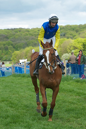 Race 5 -  20