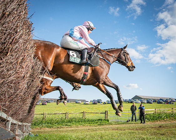 Race 7 - Walnut Hill PPORA club members maiden (36 of 104)